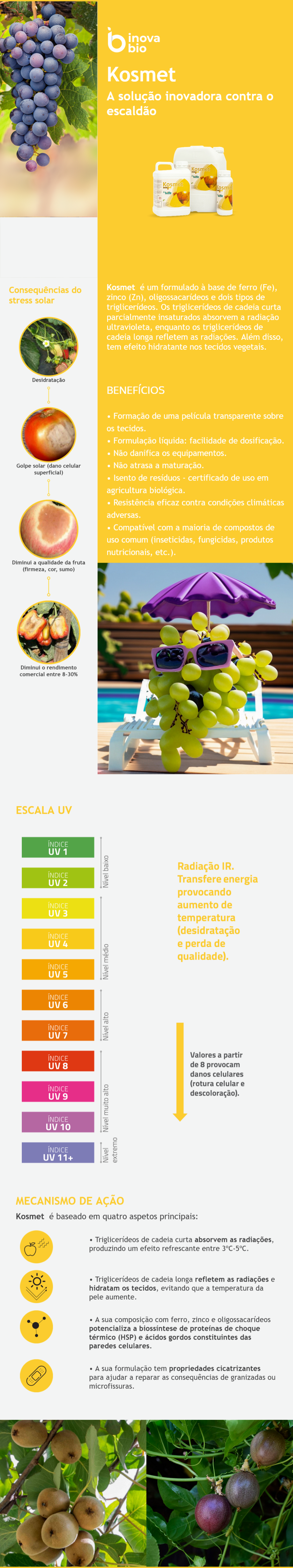 ☀️𝗞𝗼𝘀𝗺𝗲𝘁☀️ ☀️𝗞𝗼𝘀𝗺𝗲𝘁☀️